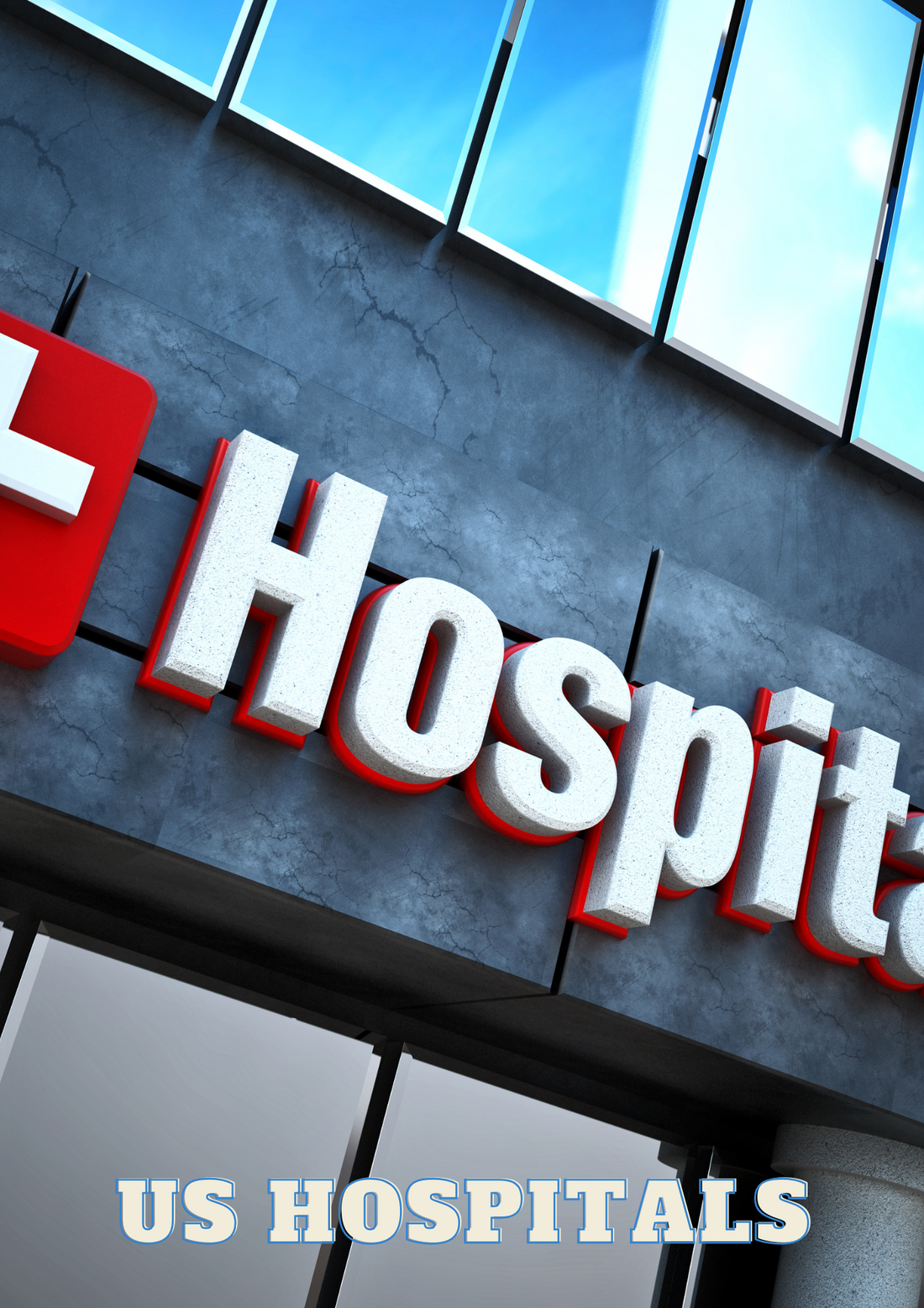 12 Hospitals Of New York State