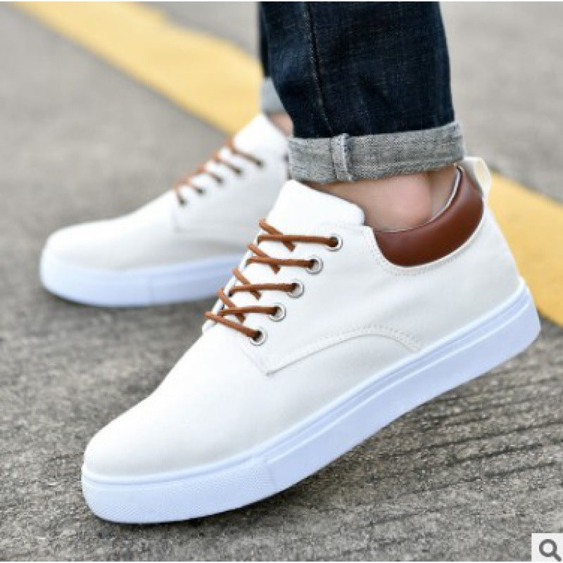 Men's Flat Casual Sumer Shoes For Walking | Sneakers Colors Variety