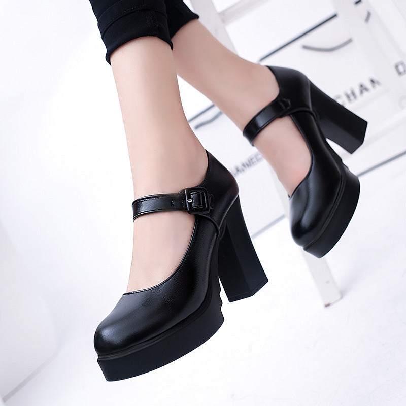 Womens Pumps Shoes Ankle Strap Mary Jane Platform Block High Heels Round Toe